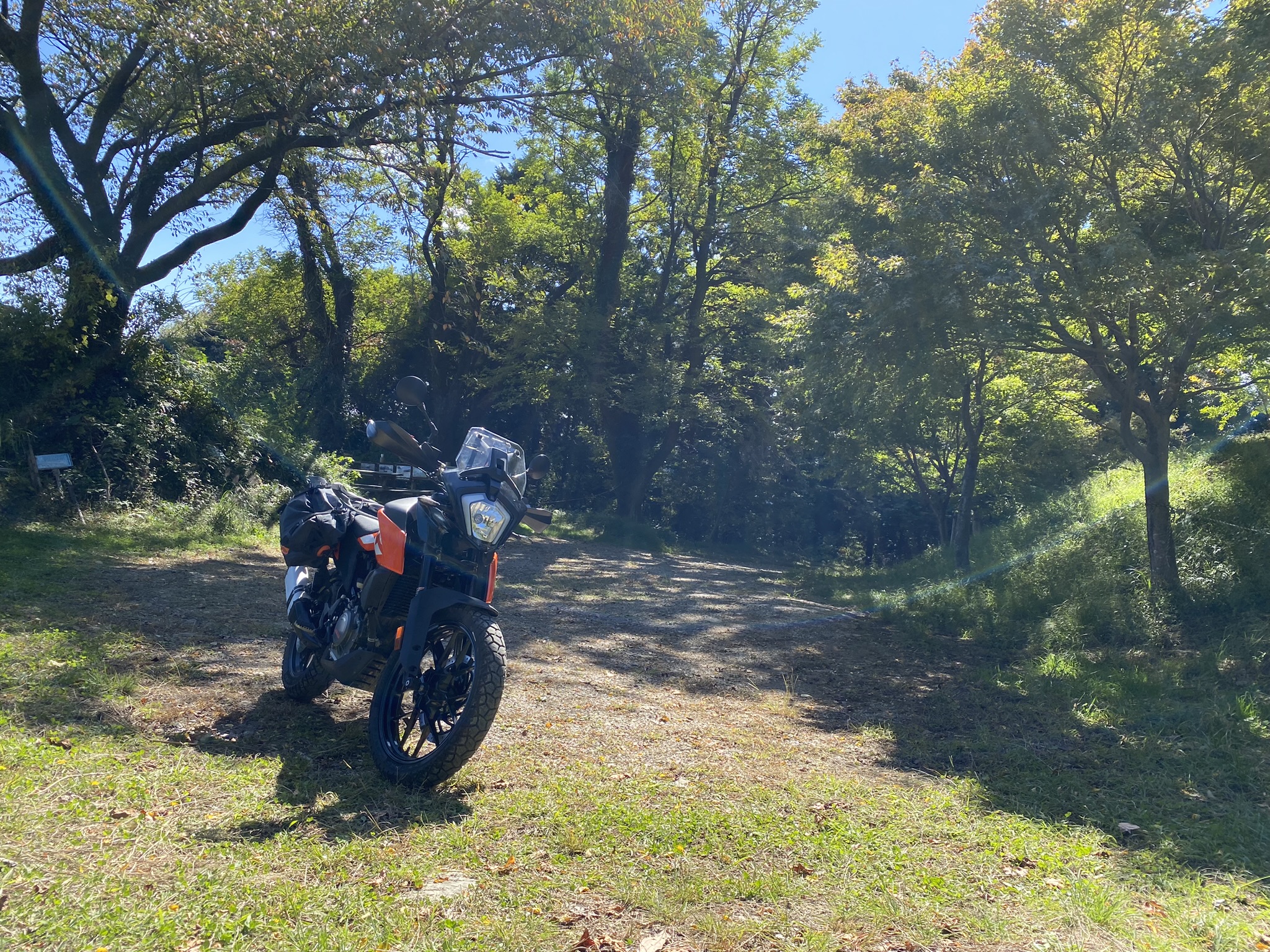 勝峰山②